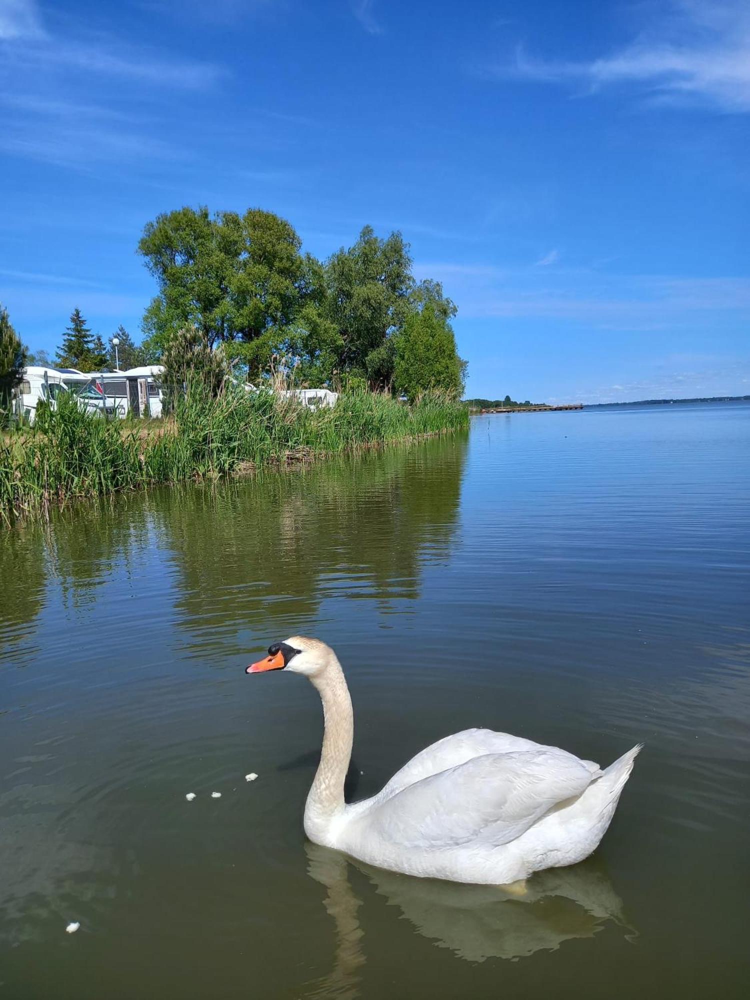 Houseboat Arka 1 - Na Wodzie, Rower Wodny, Wifi, Parking Appartamento *